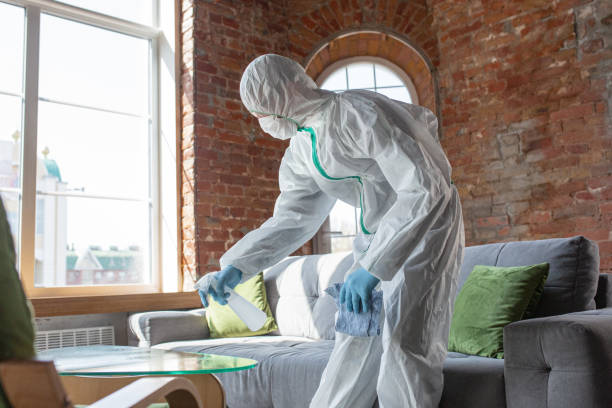 Best Asbestos and Lead Testing During Mold Inspection  in Arkansas City, KS