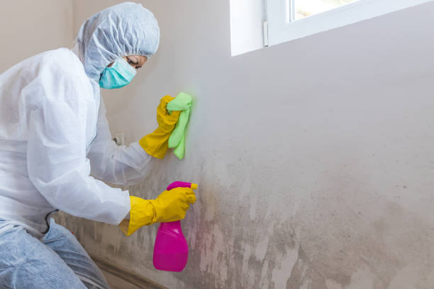 Best Residential Mold Inspection & Testing  in Arkansas City, KS